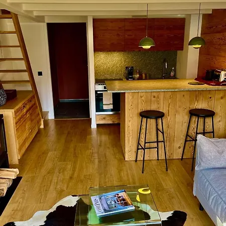 Cosy Duplex Studio In Chamomix 아파트 *